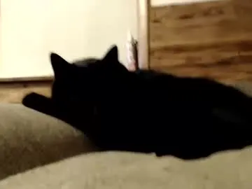 lancehardin Image 17