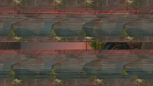 astreaharmonia Image 16