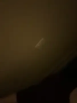 bellywelly69420 Image 4