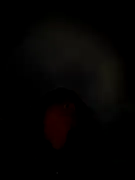 Hilary_pinkk Image 11