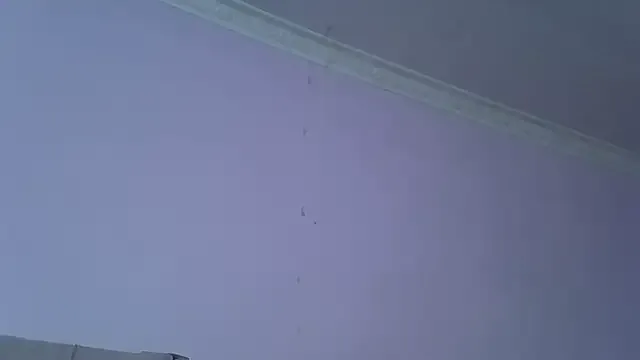 springbock56's Thumb Image